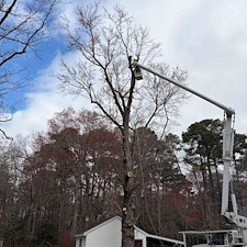 Tree-Removals-in-Easton-MD 5